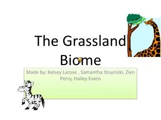 The G rassland Biome