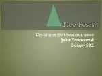 Tree Pests - slide 1