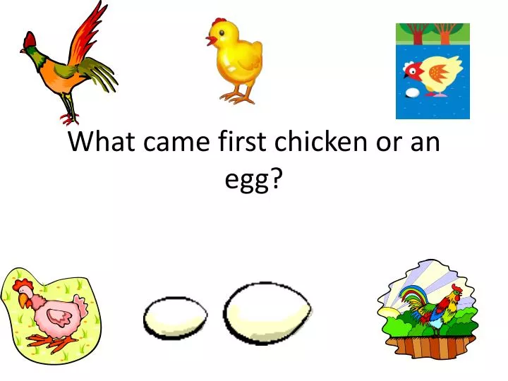what came first chicken or an egg