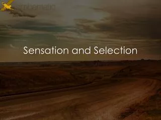 sensation and selection