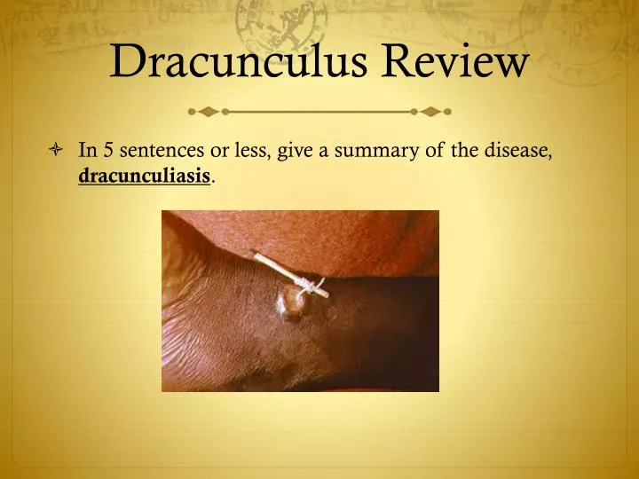 dracunculus review