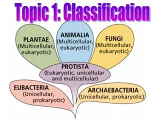 Topic 1: Classification