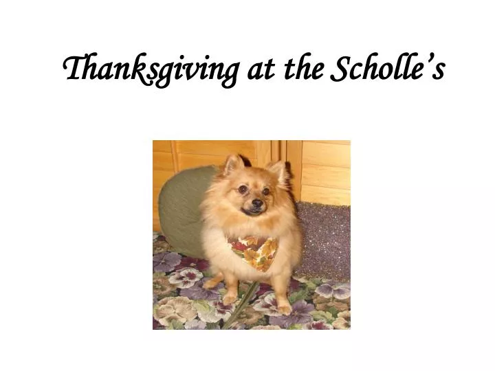thanksgiving at the scholle s