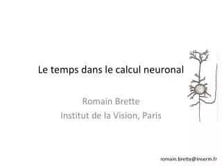 le temps dans le calcul neuronal
