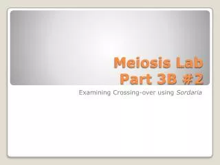 Meiosis Lab Part 3B #2