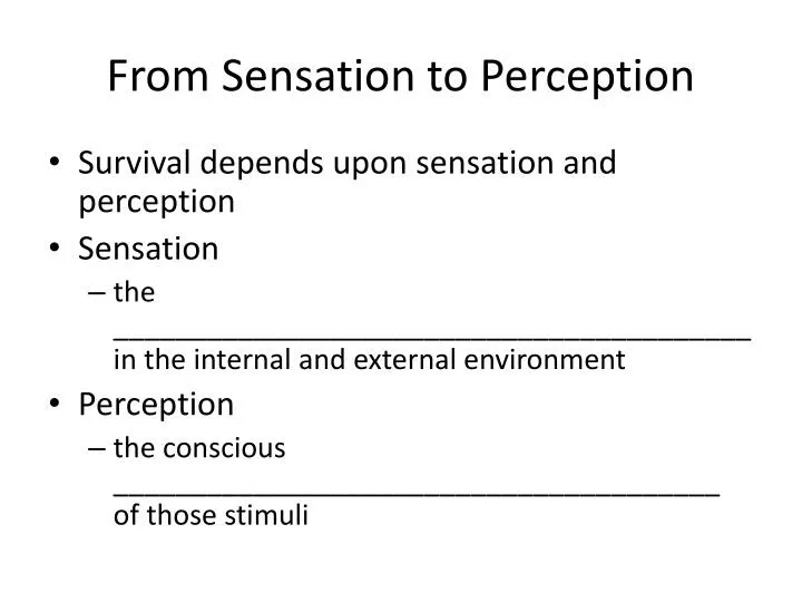 from sensation to perception