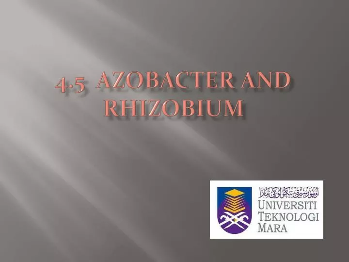 4 5 azobacter and rhizobium