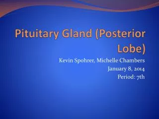 Pituitary Gland (Posterior Lobe)