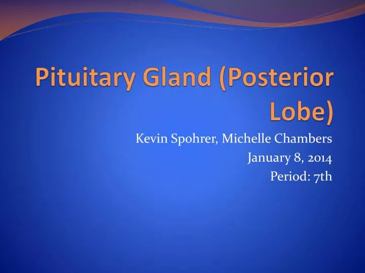 pituitary gland posterior lobe