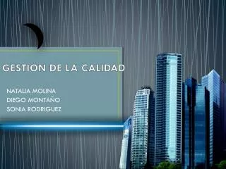gesti n de la calidad