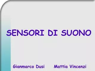 gianmarco dusi mattia vincenzi
