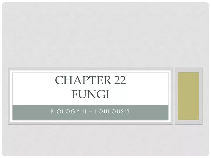 chapter 22 fungi
