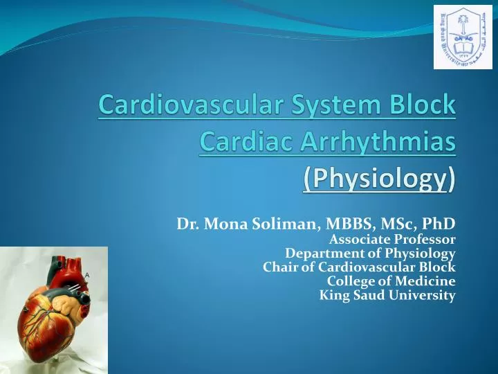 cardiovascular system block cardiac arrhythmias physiology