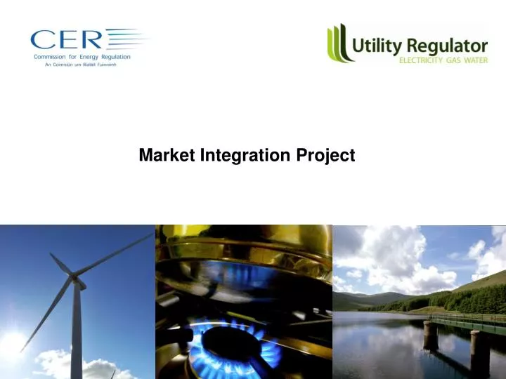 market integration project