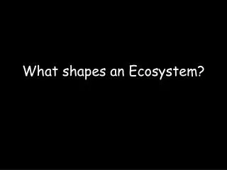 What shapes an Ecosystem ?