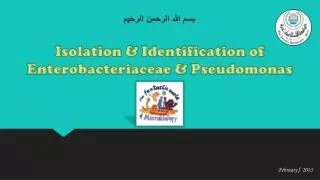 Isolation &amp; Identification of Enterobacteriaceae &amp; Pseudomonas