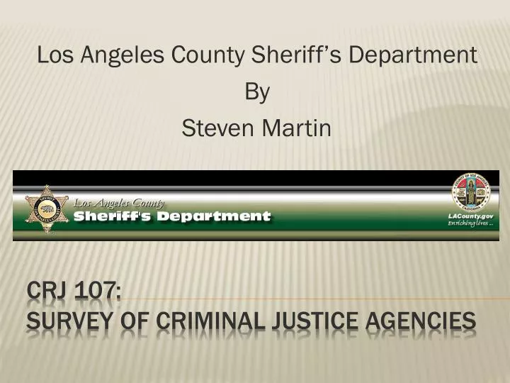 los angeles county sheriff s department by steven martin