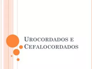 urocordados e cefalocordados