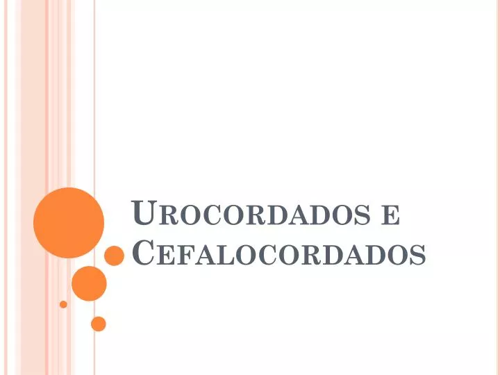 urocordados e cefalocordados