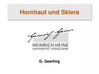 hornhaut und sklera