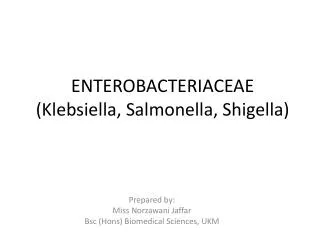 ENTEROBACTERIACEAE ( Klebsiella , Salmonella, Shigella )