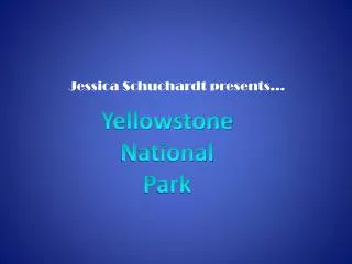 jessica schuchardt presents