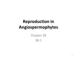 Reproduction in Angiospermophytes