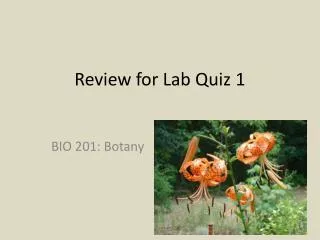 Review for Lab Quiz 1