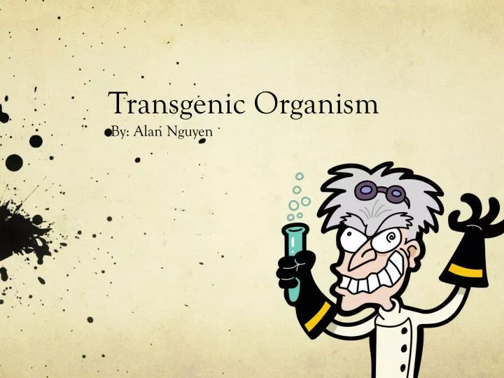 transgenic organis m