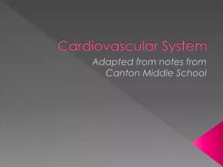 Cardiovascular System