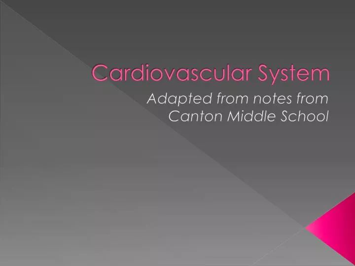 cardiovascular system