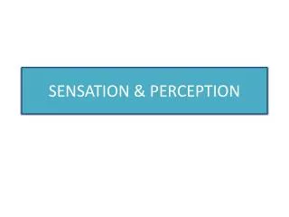 SENSATION &amp; PERCEPTION