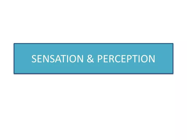 sensation perception