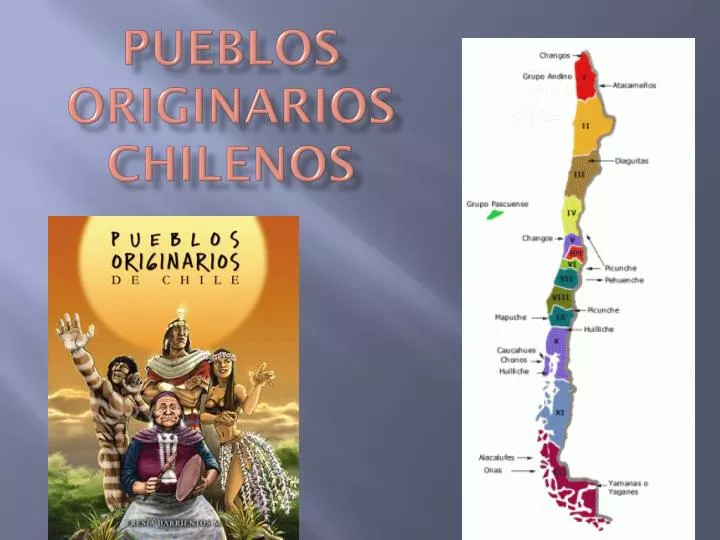 pueblos originarios chilenos