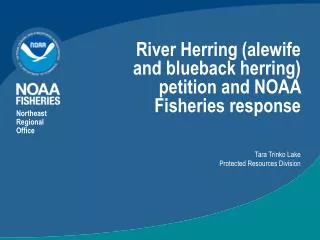 River Herring (alewife and blueback herring) petition and NOAA Fisheries response