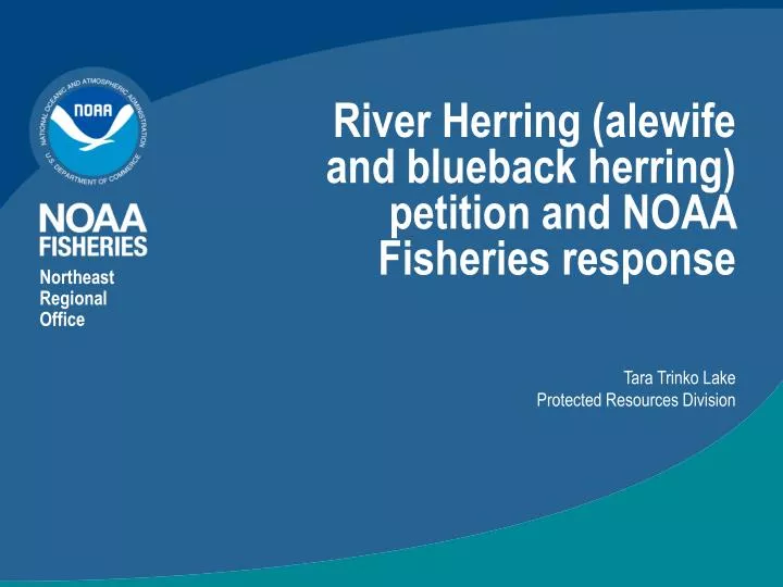 river herring alewife and blueback herring petition and noaa fisheries response