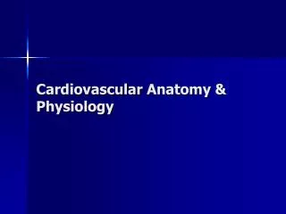 Cardiovascular Anatomy &amp; Physiology