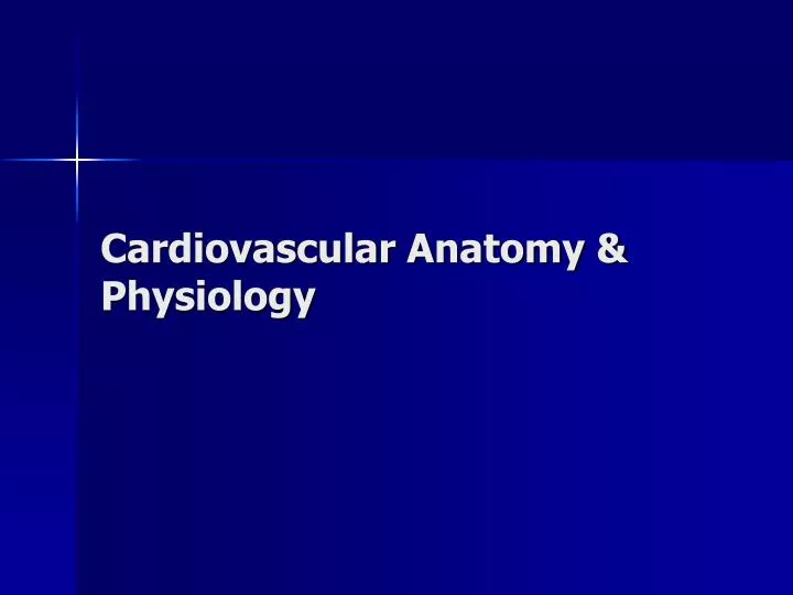 cardiovascular anatomy physiology