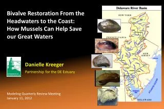 Bivalve Restoration From the Headwaters to the Coast: How Mussels Can Help Save