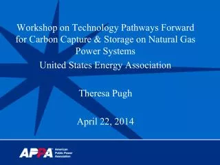Workshop on Technology Pathways Forward for Carbon Capture &amp; Storage on Natural Gas Power Systems