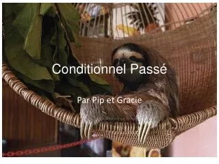 Conditionnel Pass é