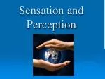 Sensation and Perception - slide 1