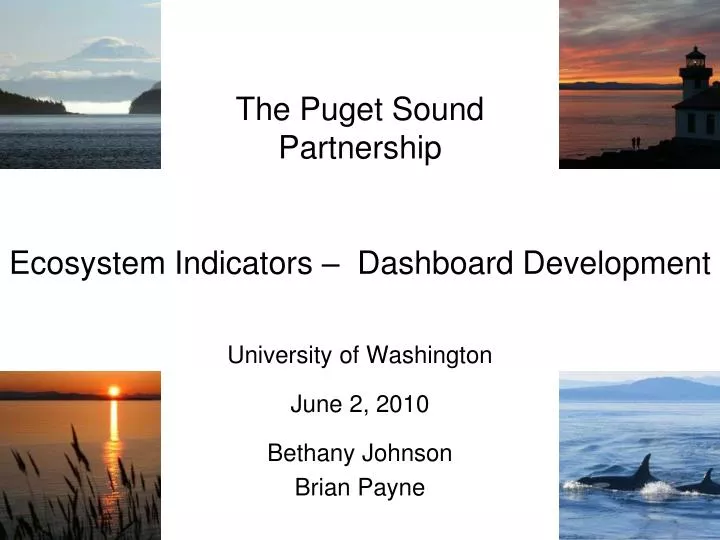 the puget sound partnership ecosystem indicators dashboard development