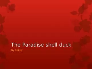 The Paradise shell duck