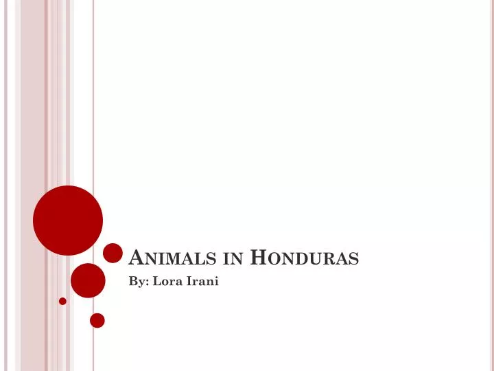 animals in honduras