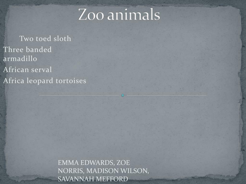 PPT - Zoo animals PowerPoint Presentation, free download - ID:2355986