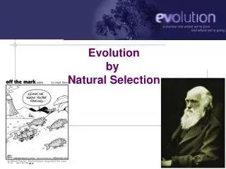 Evolution by Natural Selection