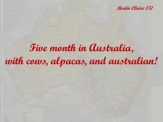 Five month in Australia, with cows, alpacas, and australian!