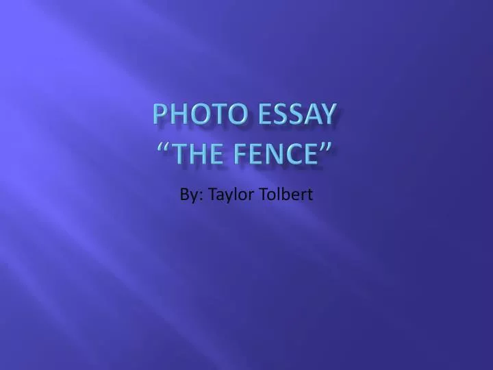 photo essay the fence