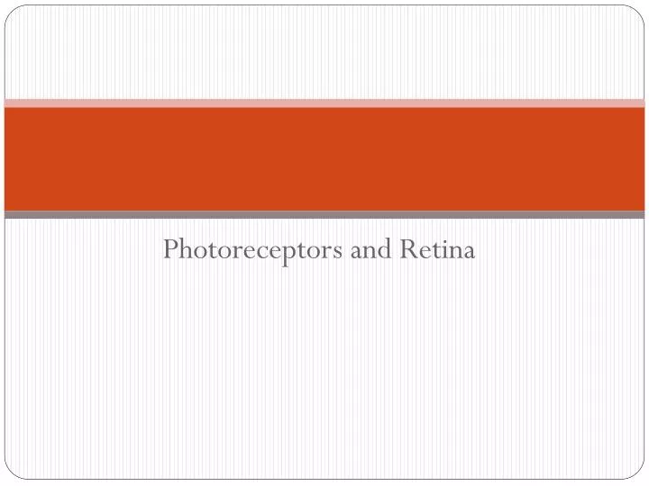 photoreceptors and retina